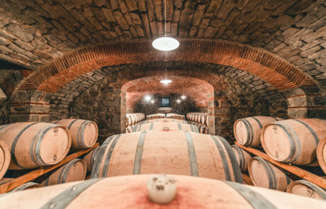 Barrel Cellar “Lamole di Lamole”