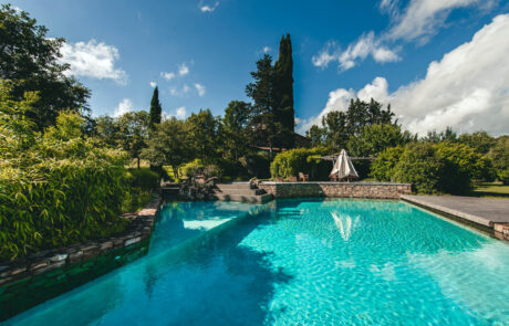 T. Cavalli garden and swimming pool